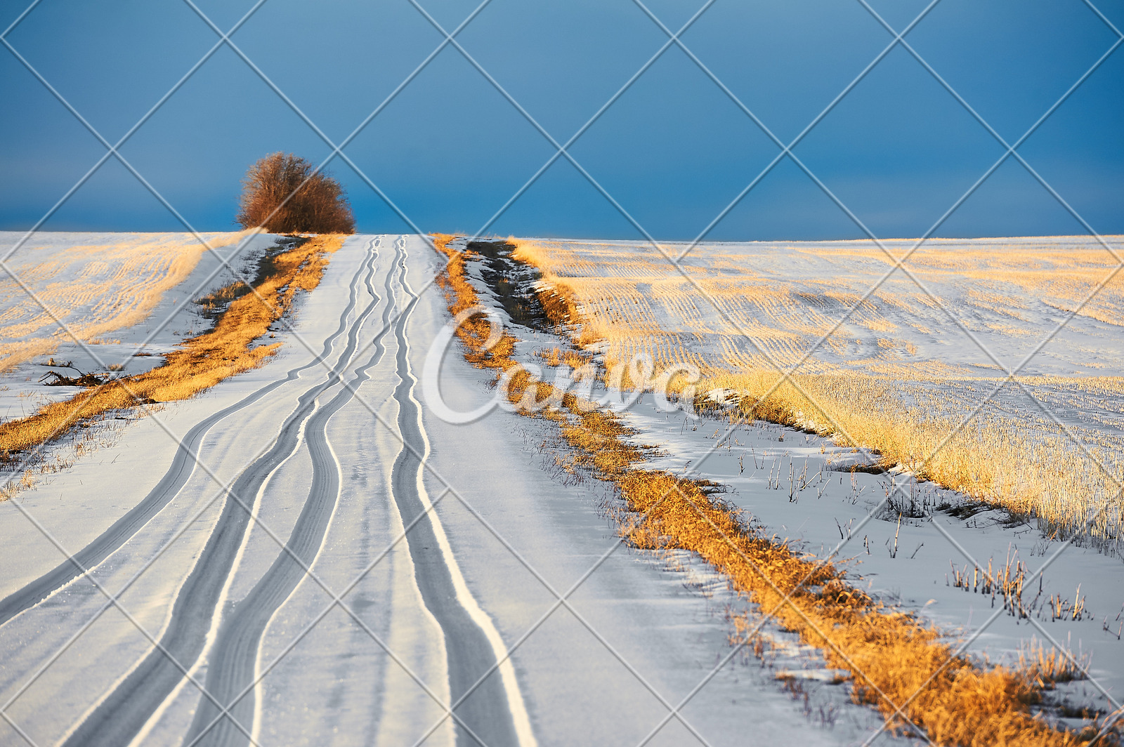 冬天户外雪田园风光土路加拿大草原摄影