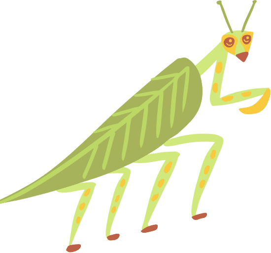 动物手绘色块插画元素螳螂