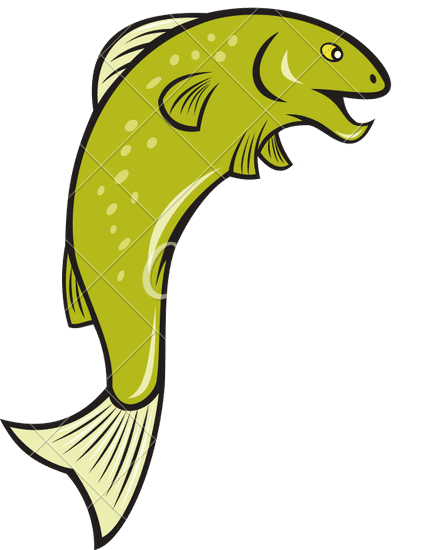 cartoonspottedtroutfishjumping