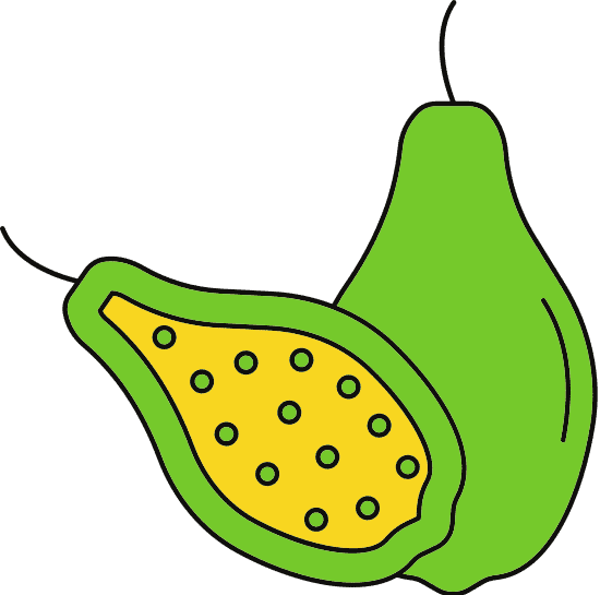 番木瓜属卡通图片