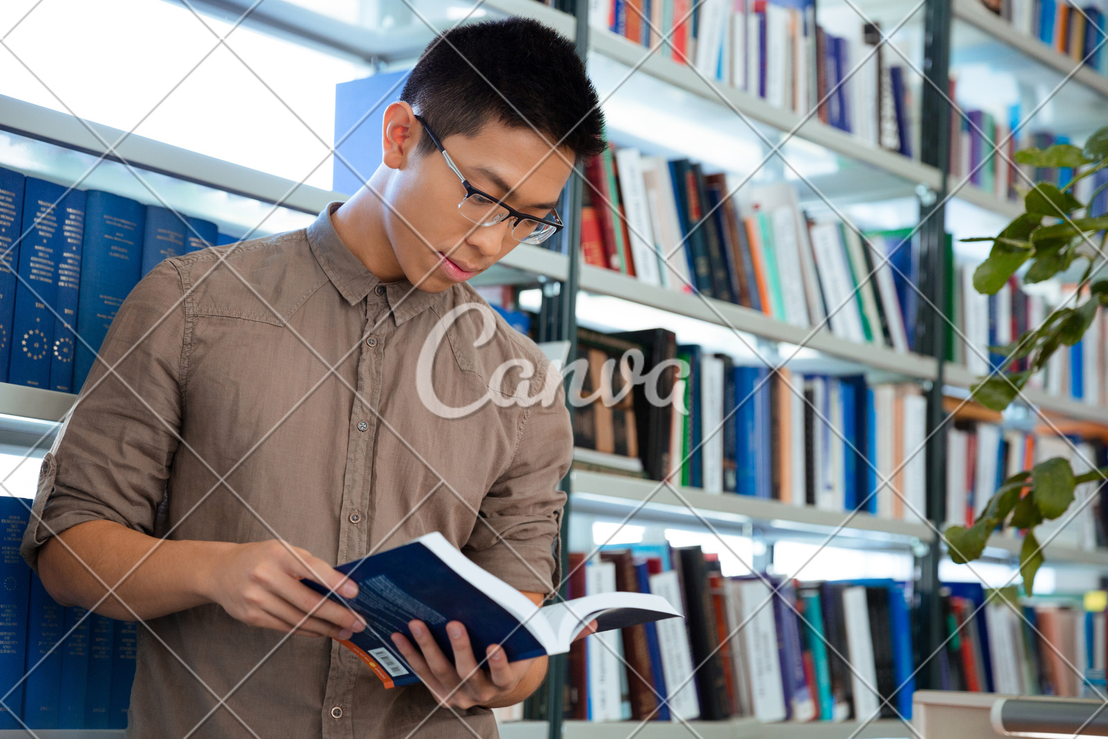 选择男人校园读书书架室内商店大学智慧拉