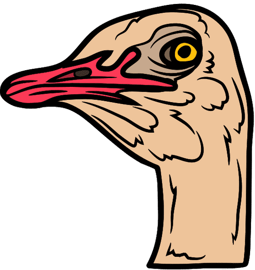 ostrich 卡通图片