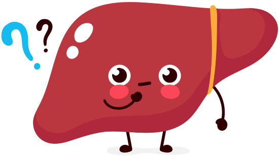 Happy Liver Cartoon - 素材- Canva可画