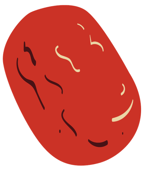 俯视四色扁平中国食物元素红枣 