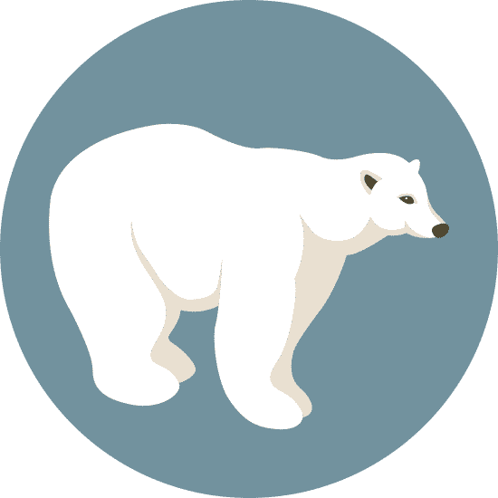 polarbearillustration