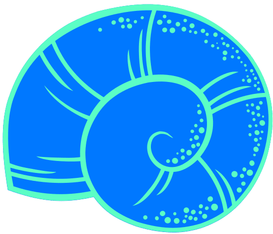 蓝色海螺简笔画图片