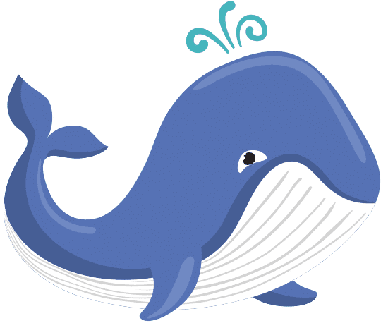 可爱的卡通鲸鱼cute Whale Cartoon素材 Canva可画