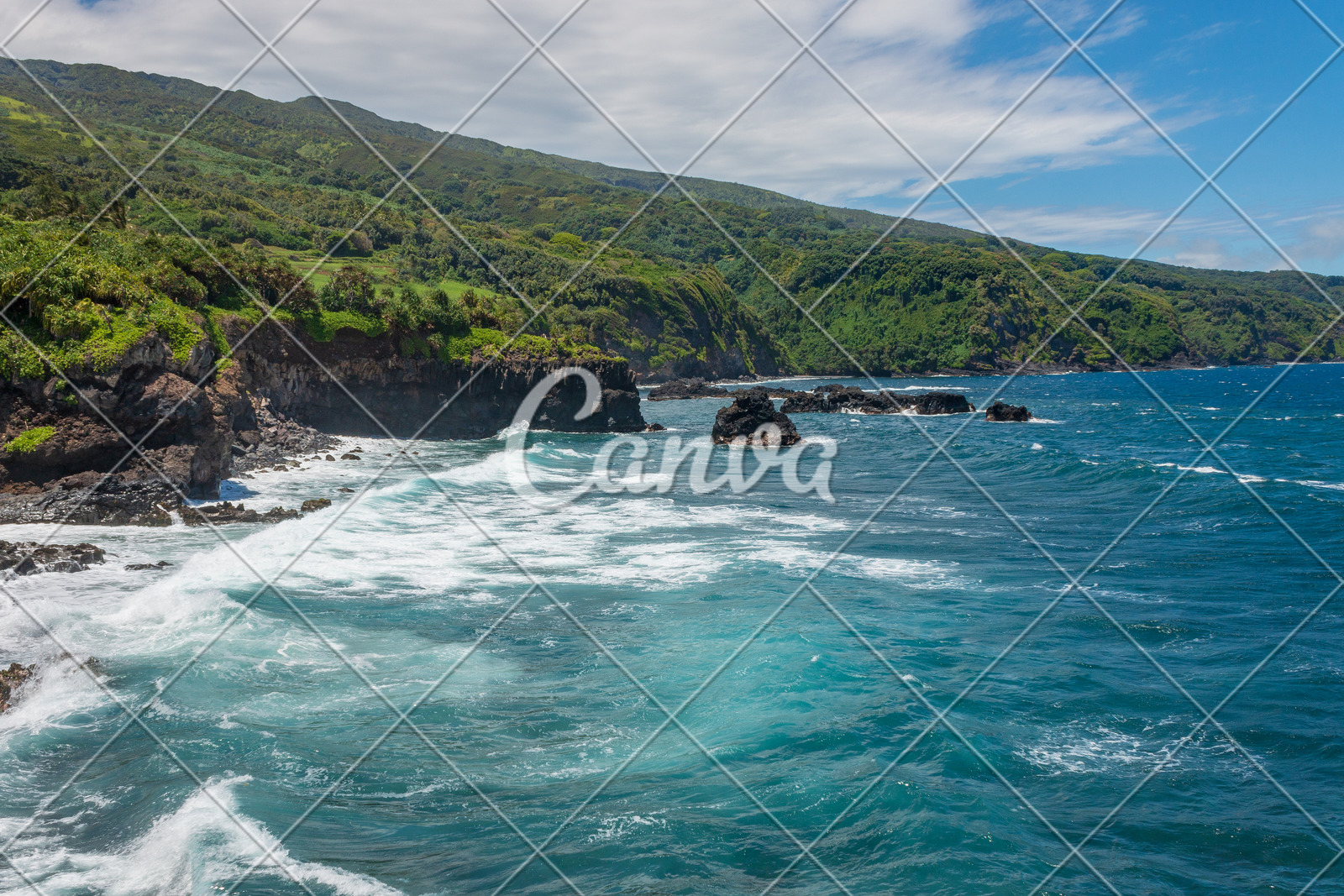 户外风景海滩波浪海岸线岩石自然美美国夏威夷太平洋高清图片 canva