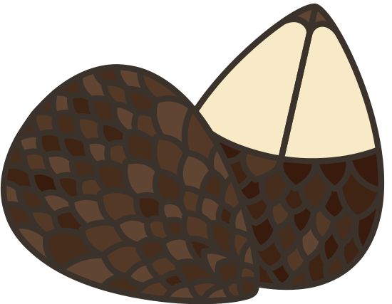 Salak Icon 素材 Canva可画 0291