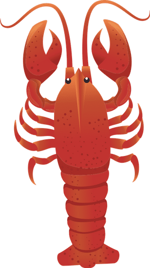 龙虾动物海龙虾动物海lobster Animal Sea Lobster Animal Sea素材 Canva可画