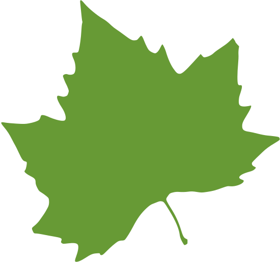 maple leaf silhouette illustration