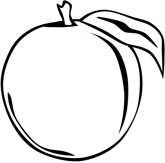 illustration of a white peach 素材 