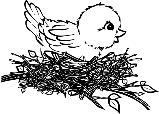 baby bird on nest illustration 