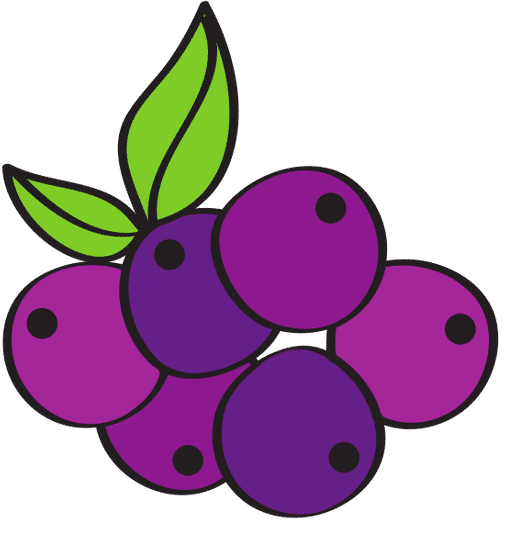 葡萄水果矢量grapesfruitvector