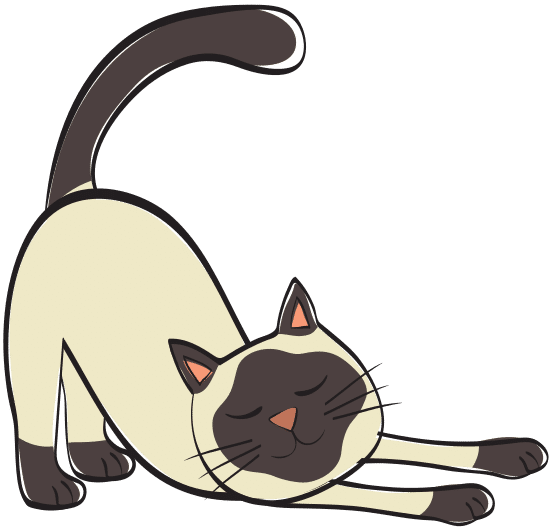 猫伸展插图 illustration of a cat stretching素材