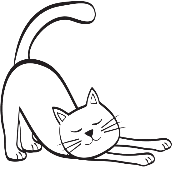 猫伸展 cat stretching