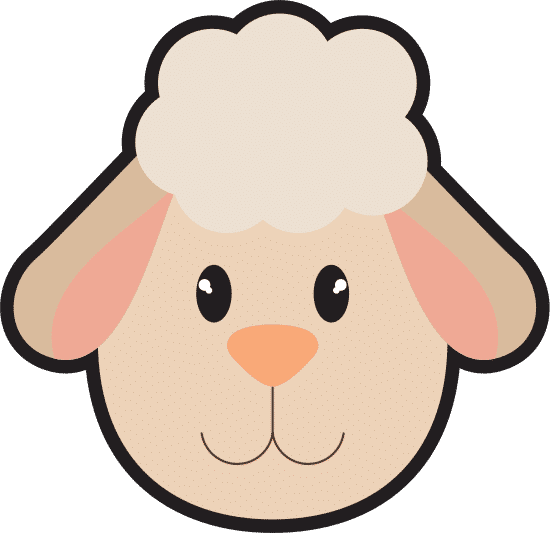 羊头 sheep head