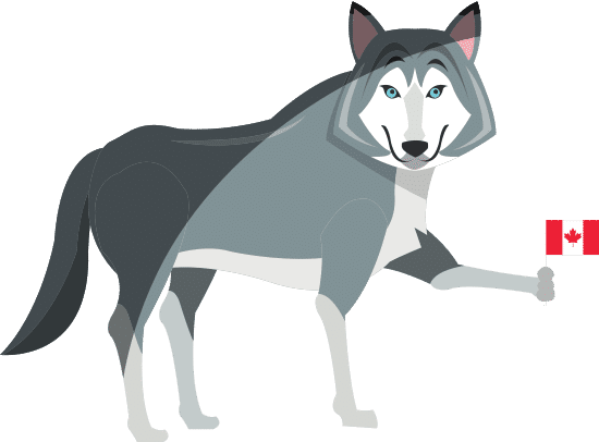 狼卡通图标狼卡通图标wolf Cartoon Icon Wolf Cartoon Icon素材 Canva中国