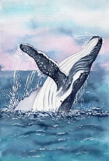 治愈系蓝鲸水粉画图片