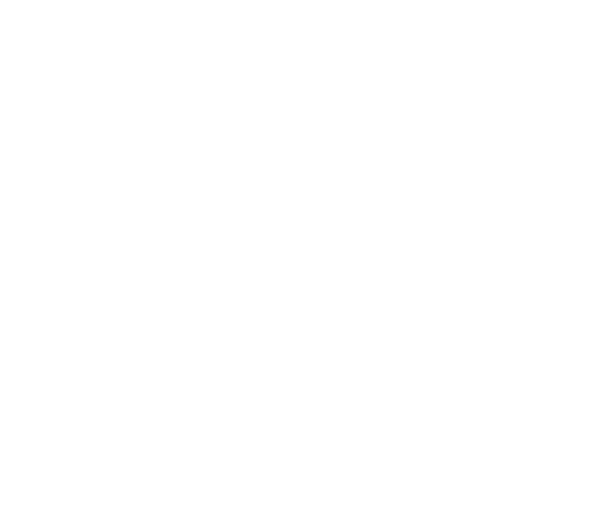 logo of united nations association 