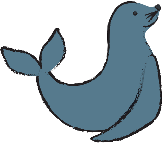 海狮的简笔画涂色图片