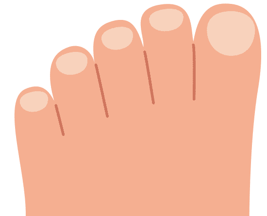 simple human body parts illustration toes