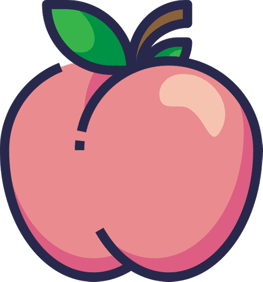 peach fruit icon 