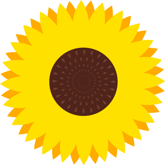 yellow sunflower flower plant flat vector illustration