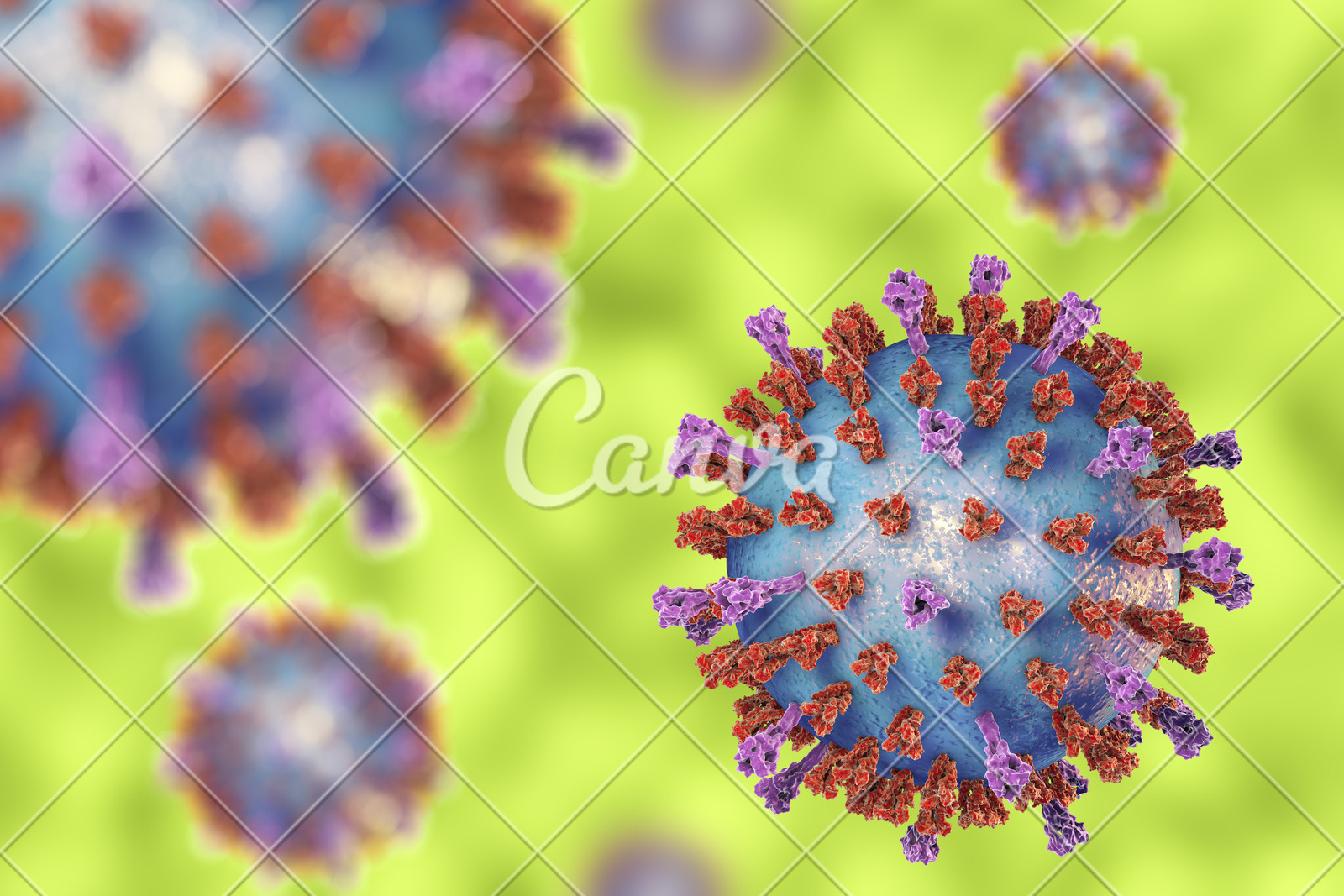 腮腺炎病毒结构图图片
