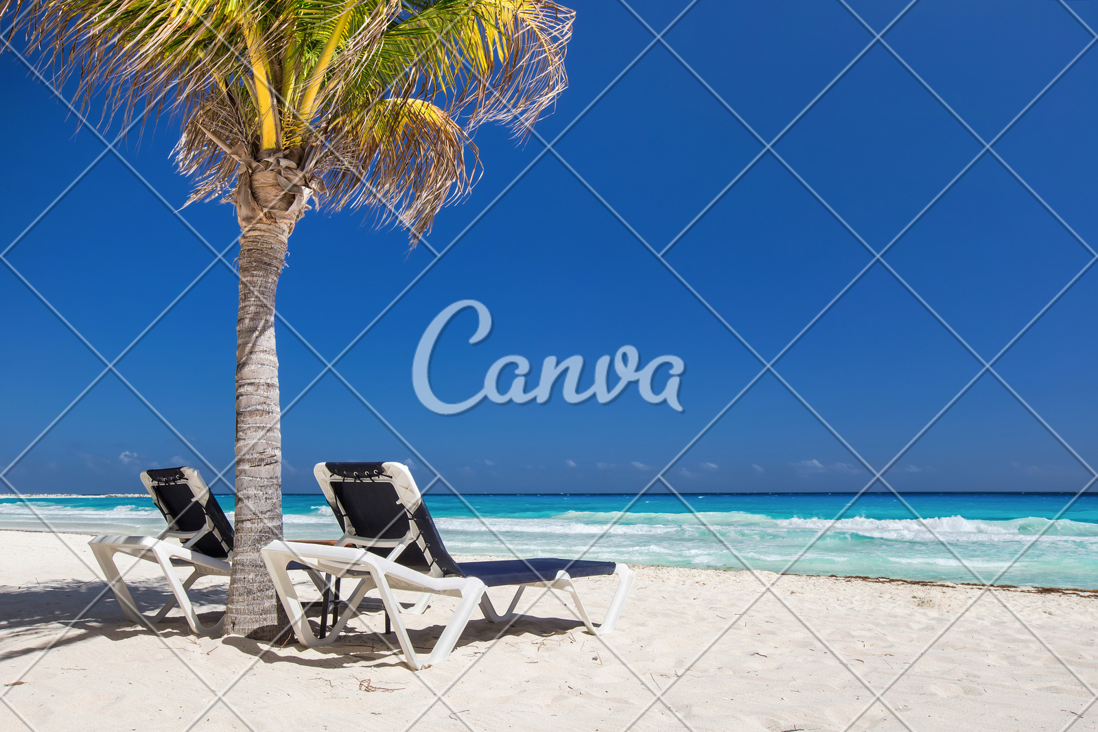 蓝色户外度假树海滩棕榈树海岸线躺椅沙滩椅泰国