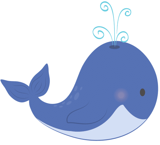 鲸鱼可爱的卡通whale Cute Cartoon素材 Canva可画