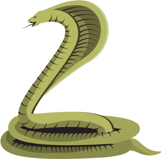 眼镜蛇毒蛇眼镜蛇毒蛇poisonous Cobra Serpent Poisonous Cobra Serpent素材 Canva可画