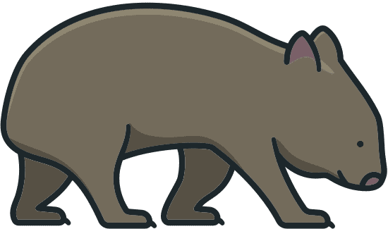 wombat animal illustration