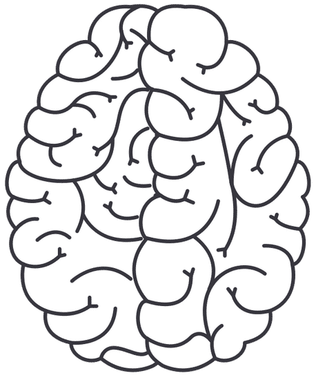 humanbraincartoon