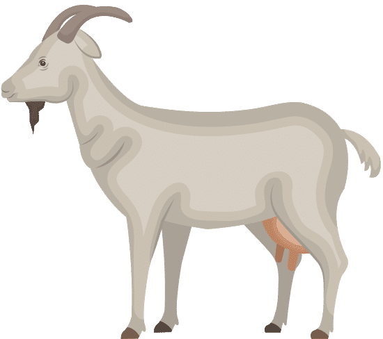 山羊动物农场图标goat Animal Farm Icon素材 Canva可画