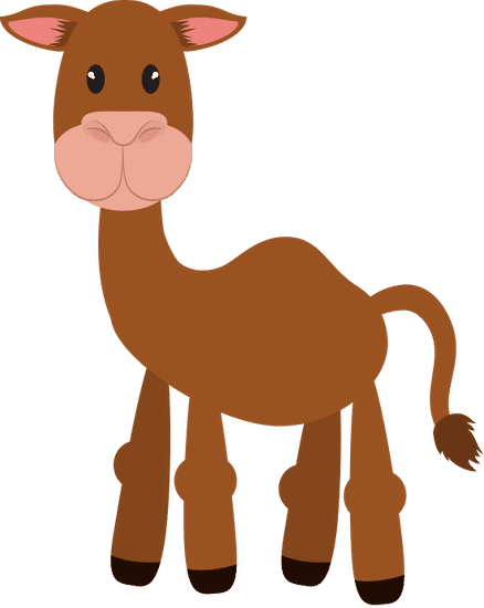 可爱的骆驼 cute camel